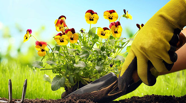 ¿Para qué se utilizan los guantes de trabajo?